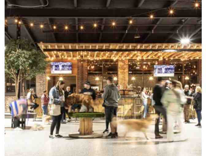 Park-9 Dog Bar - 3 month Membership