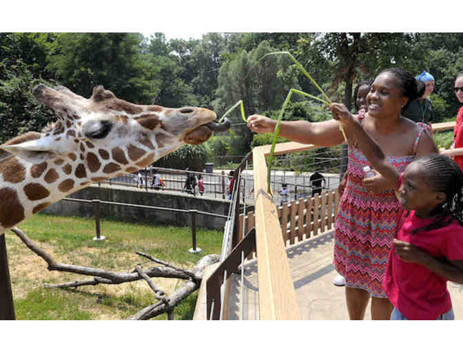 Family Membership to The Maryland Zoo