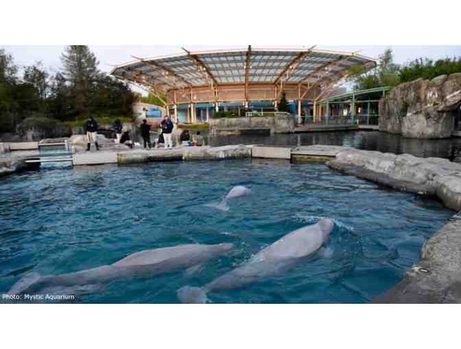 Mystic Aquarium (FREE, 2 Tickets) - Admission, $76 Value)