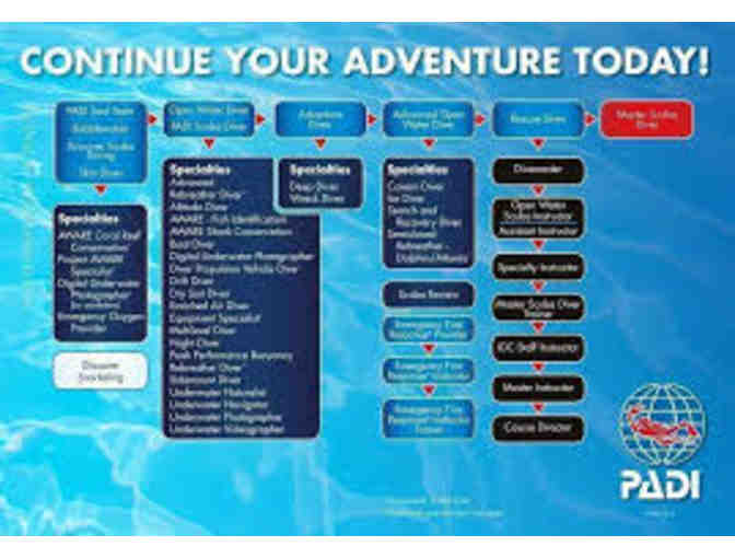 CLASS: SCUBA "Learn to Dive" (Intro PADI Certification, at Enfield Scuba) - Photo 8