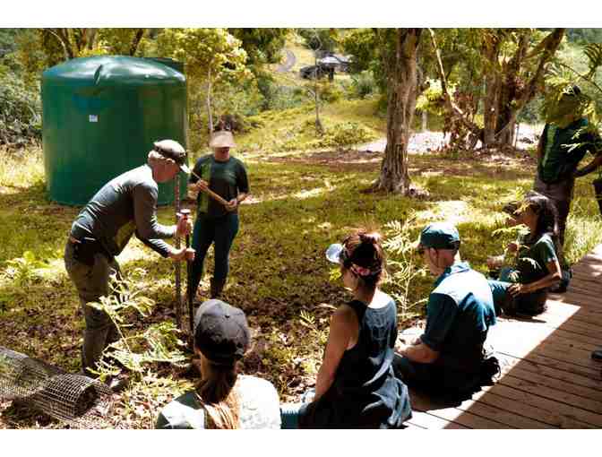 Kualoa Ranch Grown Tour for Four at Kualoa Ranch (OAHU) - Photo 3