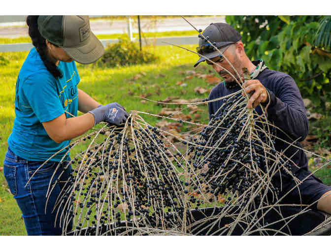 Grand Farm Tour for Four (4) at Kahuku Farms (OAHU) - Photo 7