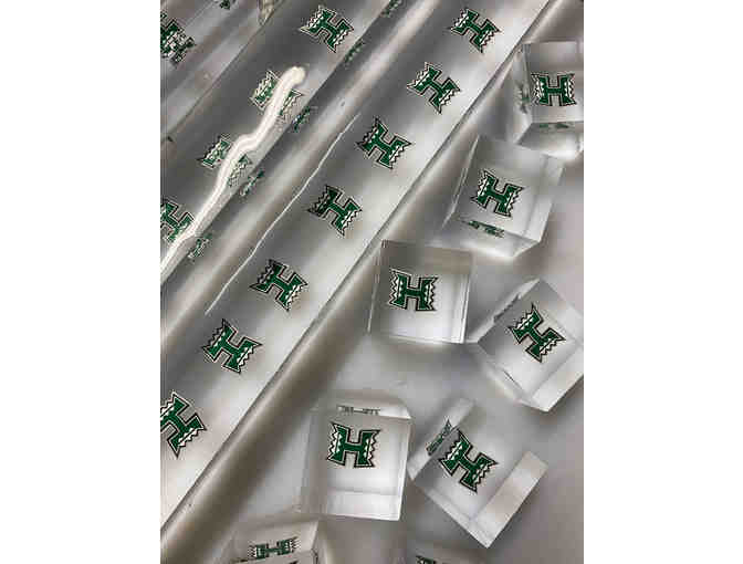 Luxe Ice Party Pack by On The Rock, Hawaii's Craft Ice Company (OAHU)-1