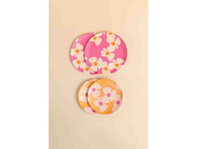 Fighting Eel Home Kitchen Zinnia Bundle-2