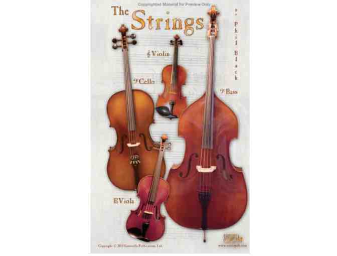 Package 3 of 3- In person One Month of Cello, Violin or Viola lessons