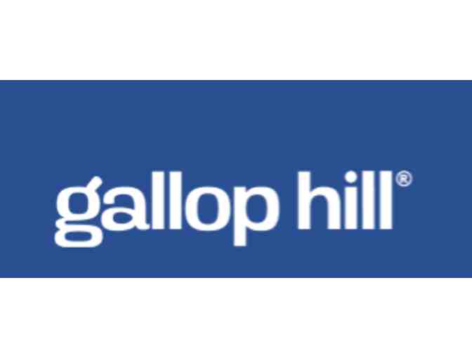 Gallop Hill Ultimate Discover Set - Photo 1
