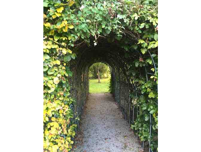 One Week Stay in a Private Home in Limerick, Ireland