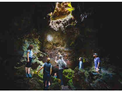 Hawaii Forest & Trails Hidden Craters Hike Big Island