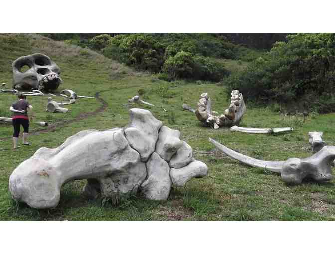 Kualoa Ranch Tour Experience for 2 (Oahu)