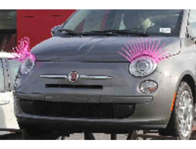 Turbo Style Products -  Pink Car Lashes