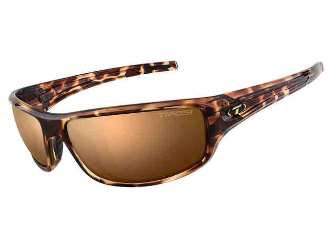 All Sports Eyewear Inc. -  Tifosi Bronx Polarized Sunglasses in Tortoise