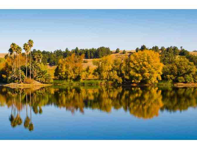 Paddleboard or Kayak the Napa River - Photo 2
