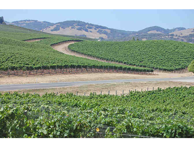 Private Wine Country Driver - Photo 2