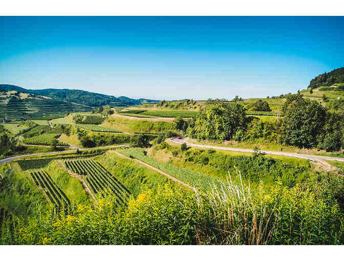 Private Wine Country Driver - Photo 1