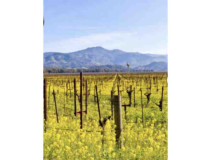 Sonoma Skies - Photo 2