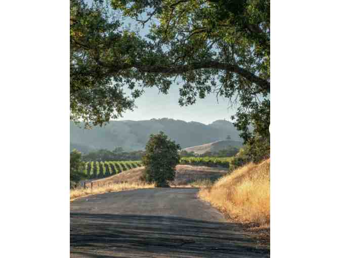 Sonoma Skies - Photo 4