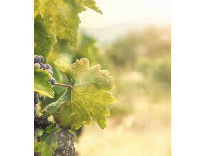 Sonoma Skies - Photo 5