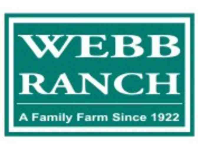 Horseback Trail Ride for 4 at Webb Ranch