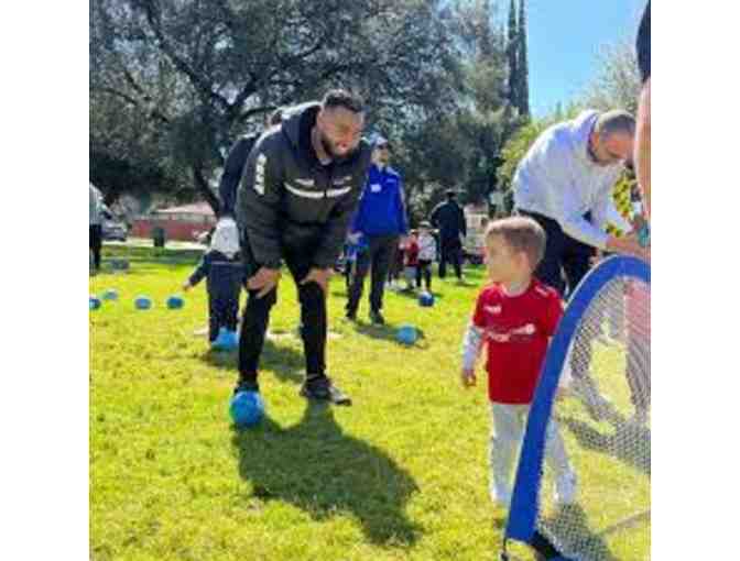One Private Soccer Lesson: 60 minutes for up to 5 children at Soccer Stars of Los Angeles
