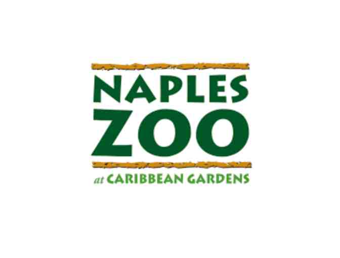 Family Fun Day in Naples- C'Mon and the Zoo!