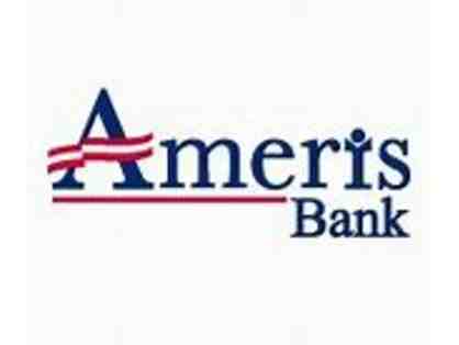 Ameris Bank Amphitheatre, Alpharetta, GA
