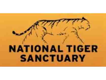 National Tiger Sanctuary, Saddlebrooke, MO