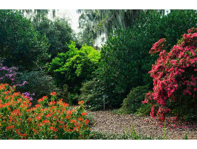 Bok Tower Gardens, Lake Wales, FL