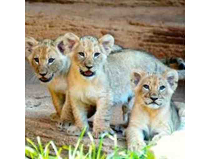 Riverbanks Zoo and Garden, Columbia, SC