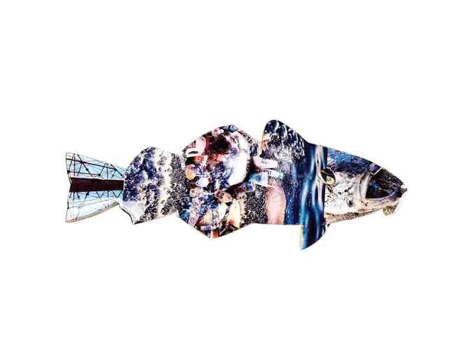 Codlution By Alessandra Donovan - Photo 1