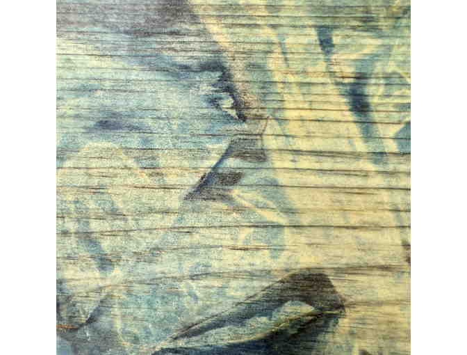 Plenty Of Fish In The Sea? By Kiara Brown