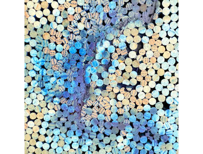 The Majestic Mariner By Susan j Schrader