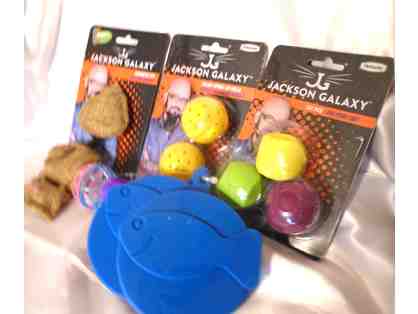 Cat Toys No 3
