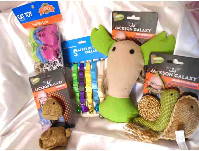 Bag O Cat Toys #1 - Photo 1