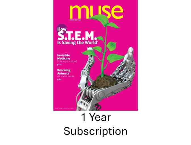 Class Basket: STEM Explorers (LE West)