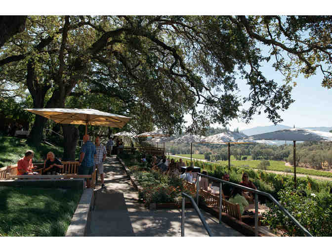 Napa Valley Trip with Wine