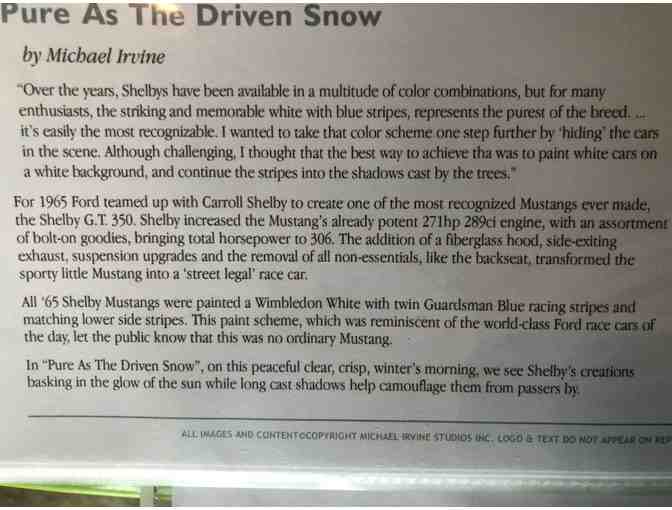 Pure as the Driven Snow by Michael Irvine
