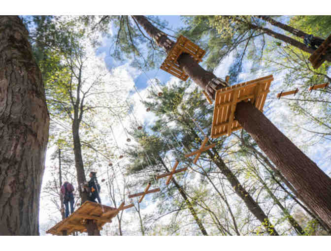 Two Tickets to TreeTop Adventures