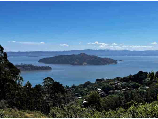 HAPPY TRAILS! HIKE WITH JZ on MT. TAM - Photo 1