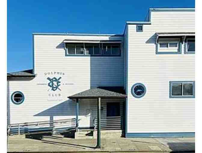 INTRODUCTION to the DOLPHIN CLUB - Photo 1