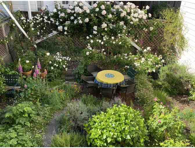 LUNCH IN SAN FRANCISCO PRIVATE GARDEN IN SPRING - Photo 1