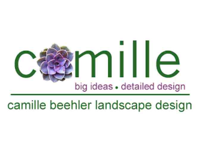 Camille Beehler Landscape Design - One Hour Landscape Design Consultation
