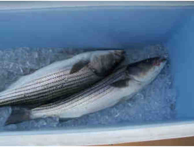 UNIQUE EXPERIENCE/4 HOUR BASS FISHING TRIP WITH WELLFLEET CHARTERS-$550 Value - Photo 2