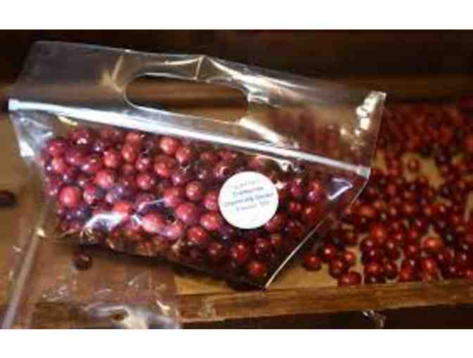 CULINARY INSPIRATION - Just Harvested Organic Cranberries & Jars