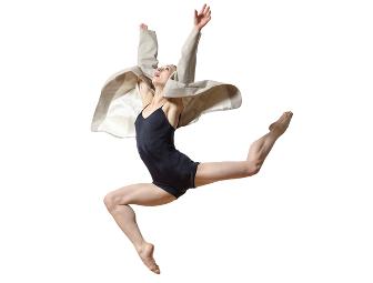 DANCE!: Performance tickets and Dance Classes