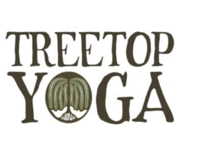 TreeTop Yoga - Photo 1