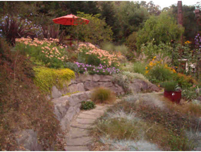 Garden design consultation by local favorite Nature's Design