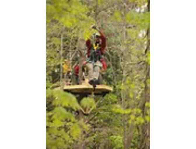 2 Zip Line Canopy Tours at Zoar Outdoor - 3-Hour Treetop Adventure