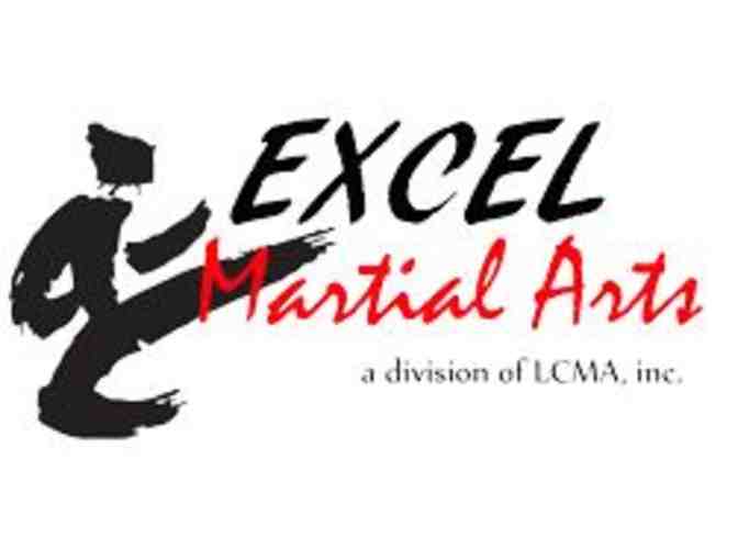 1 month Karate class or birthday party plus t-shirt at Excel Martial Arts