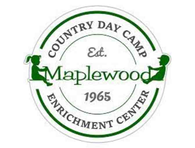$250 Gift certificate to Maplewood Country Day Camp - Photo 1