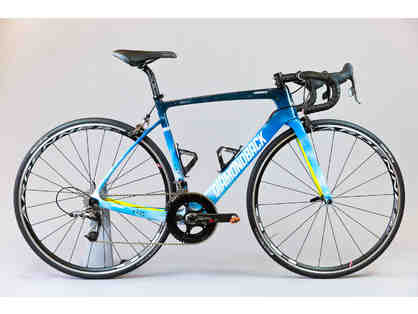 Thumbnail Credit (biddingforgood.com): Item Image One-of-a-Kind, Hand Painted-sz 52 Sky Themed - Diamondback Podium Race B...